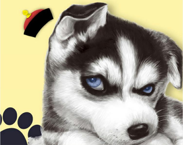 移民舍不得愛寵? 成都笨鳥寵物托運