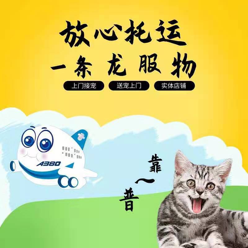 寵物托運(yùn)需要哪些證件?-成都寵物托運(yùn)