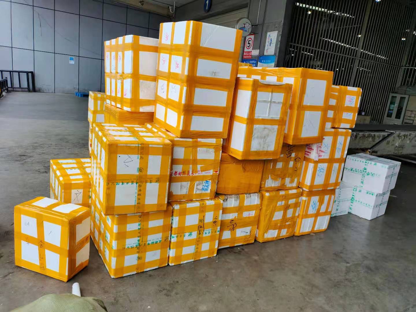 航空快運可以運輸海鮮嗎?-成都寵物空運