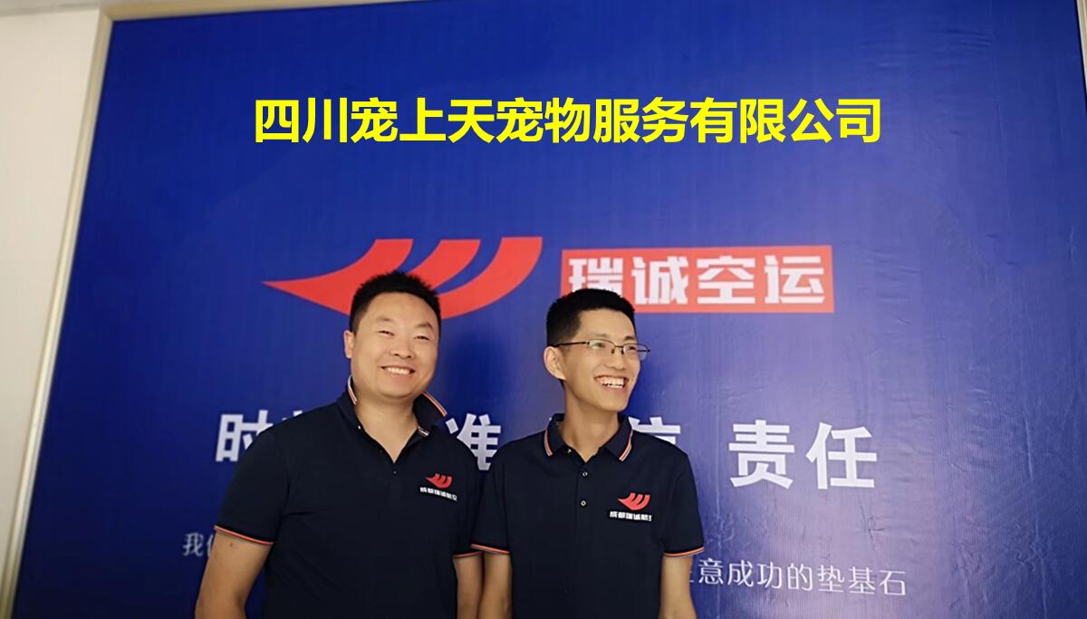四川寵上天寵物服務公司 成都寵物托運